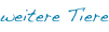 shapeimage_3_link_12