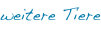 shapeimage_3_link_8