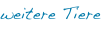 shapeimage_5_link_9